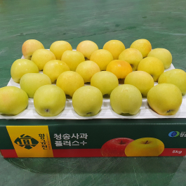 청송 진 황금사과 10kg (50과 이내)