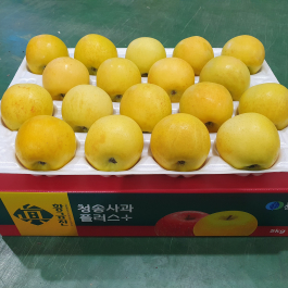 청송 진 황금사과 10kg (38과 이내)