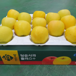 청송 진 황금사과 5kg (13과 이내)