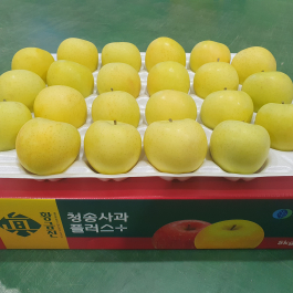 청송 진 황금사과 5kg (22과 이내)