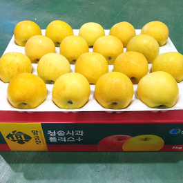청송 진 황금사과 5kg (13과 이내)