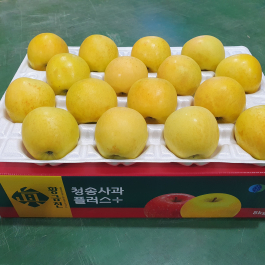 청송 진 황금사과 5kg (16과 이내)