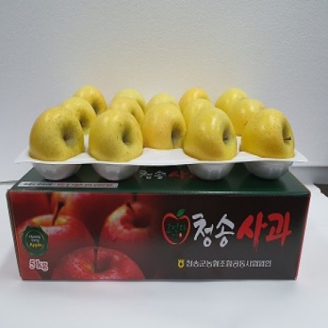 그린다 황금사과 5kg (16내)