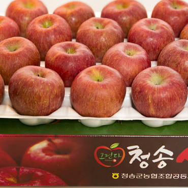 그린다 청송사과 부사 5kg (꼬마 25과)