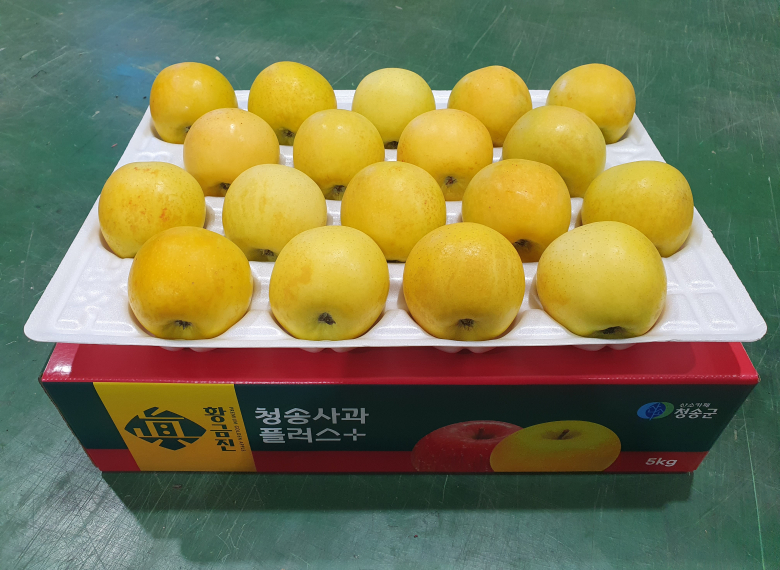 청송 진 황금사과 5kg (19과 이내)