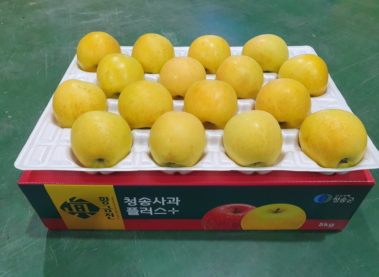 청송 진 황금사과 5kg (16과 이내)