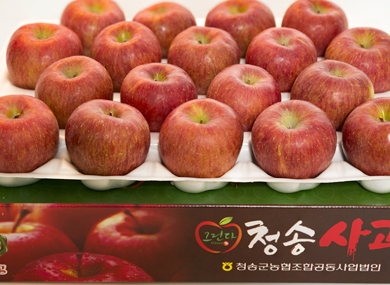 그린다 청송사과 부사 5kg (16내)